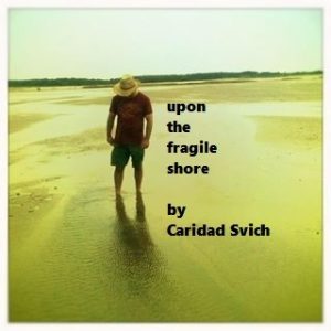 fragile shore